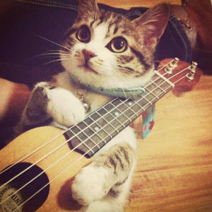 西安机床生产厂家用小蛙营销导航
